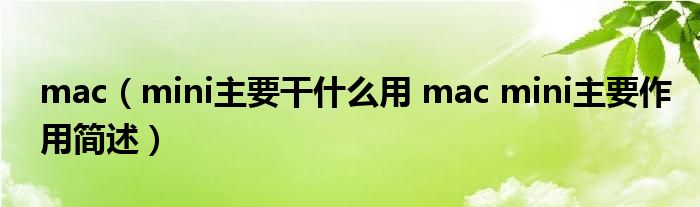 mac(mini主要干什么用 mac mini主要作用简述)
