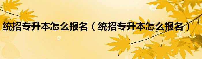 统招专升本怎么报名(统招专升本怎么报名)