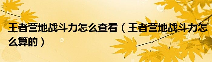 王者营地战斗力怎么查看(王者营地战斗力怎么算的)
