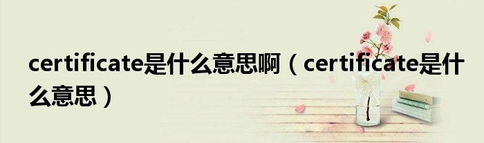 certificate是什么意思啊(certificate是什么意思)