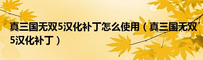 真三国无双5汉化补丁怎么使用(真三国无双5汉化补丁)