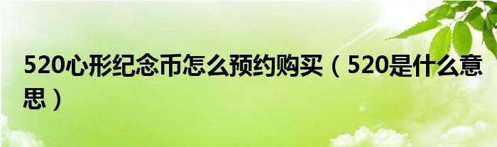 520心形纪念币怎么预约购买(520是什么意思)