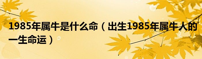 1985年属牛是什么命(出生1985年属牛人的一生命运)