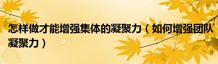 怎样做才能增强集体的凝聚力(如何增强团队凝聚力)