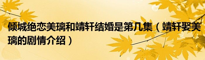 倾城绝恋美璃和靖轩结婚是第几集(靖轩娶美璃的剧情介绍)