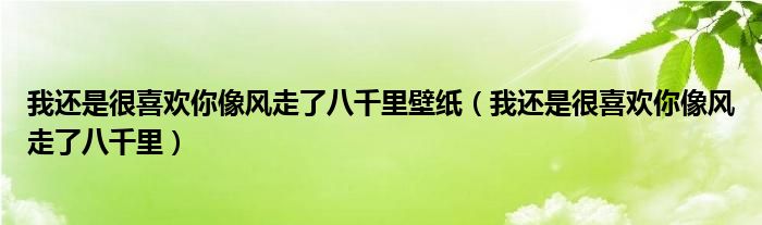 我还是很喜欢你像风走了八千里壁纸(我还是很喜欢你像风走了八千里)
