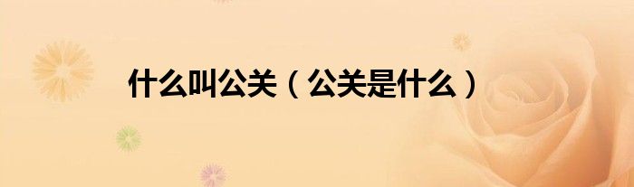 什么叫公关（公关是什么）