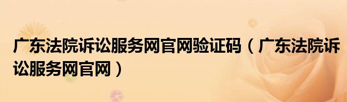 广东法院诉讼服务网官网验证码(广东法院诉讼服务网官网)