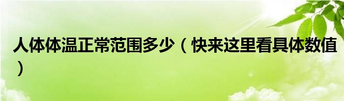 人体体温正常范围多少(快来这里看具体数值)