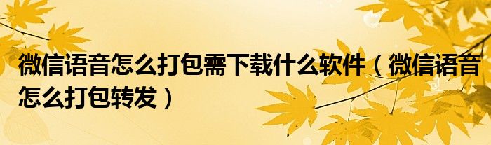 微信语音怎么打包需下载什么软件(微信语音怎么打包转发)