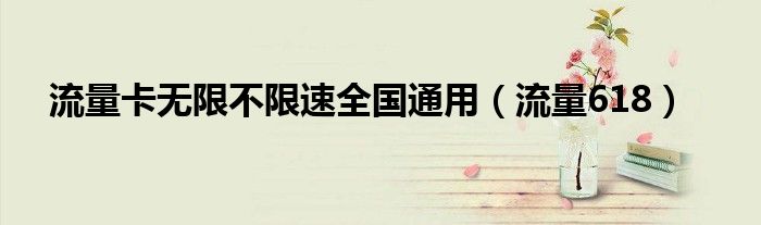 流量卡无限不限速全国通用(流量618)