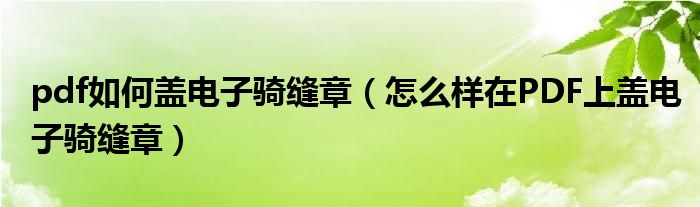 pdf如何盖电子骑缝章(怎么样在PDF上盖电子骑缝章)