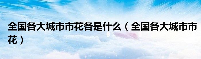 全国各大城市市花各是什么(全国各大城市市花)