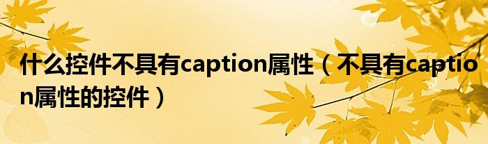 什么控件不具有caption属性(不具有caption属性的控件)