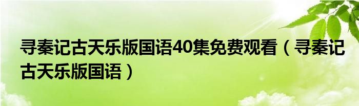 寻秦记古天乐版国语40集免费观看(寻秦记古天乐版国语)