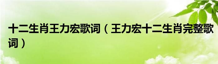 十二生肖王力宏歌词(王力宏十二生肖完整歌词)