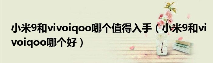 小米9和vivoiqoo哪个值得入手(小米9和vivoiqoo哪个好)