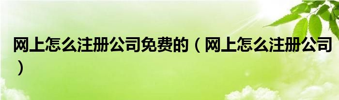 网上怎么注册公司免费的(网上怎么注册公司)