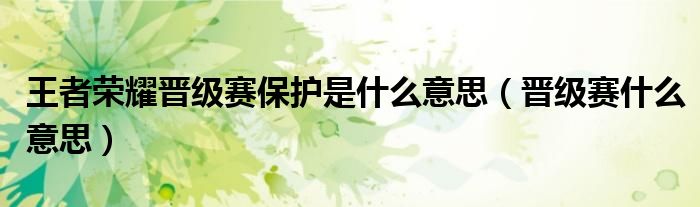 王者荣耀晋级赛保护是什么意思(晋级赛什么意思)