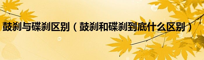 鼓刹与碟刹区别(鼓刹和碟刹到底什么区别)