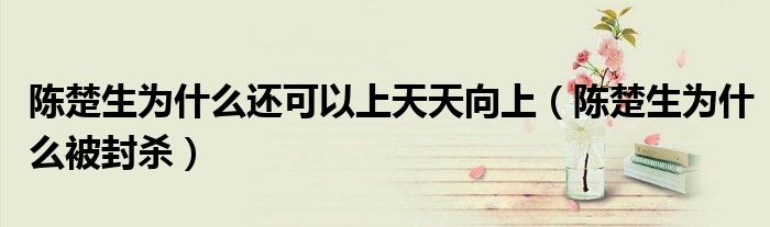 陈楚生为什么还可以上天天向上(陈楚生为什么被封杀)