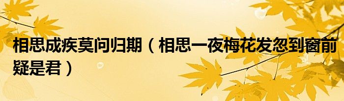 相思成疾莫问归期(相思一夜梅花发忽到窗前疑是君)