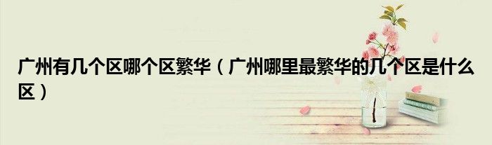 广州有几个区哪个区繁华(广州哪里最繁华的几个区是什么区)