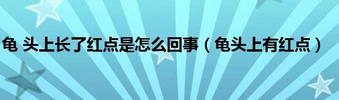龟 头上长了红点是怎么回事(龟头上有红点)