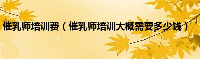 催乳师培训费(催乳师培训大概需要多少钱)