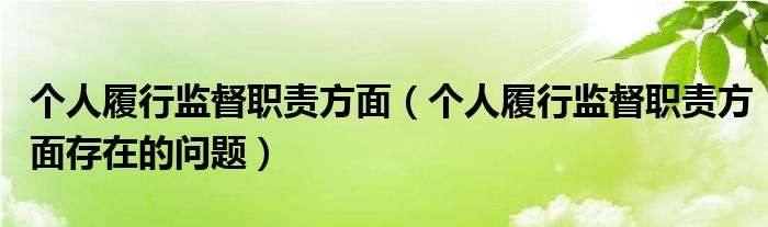 个人履行监督职责方面(个人履行监督职责方面存在的问题)