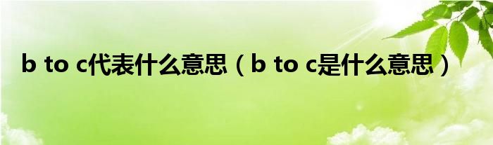 b to c代表什么意思(b to c是什么意思)