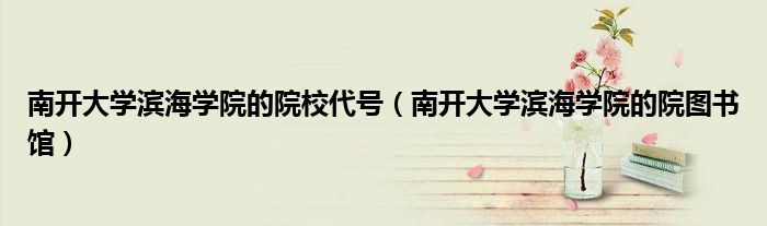 南开大学滨海学院的院校代号(南开大学滨海学院的院图书馆)