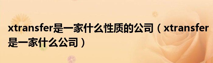 xtransfer是一家什么性质的公司(xtransfer是一家什么公司)
