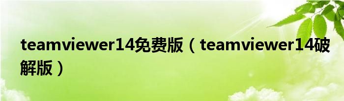 teamviewer14免费版(teamviewer14破解版)