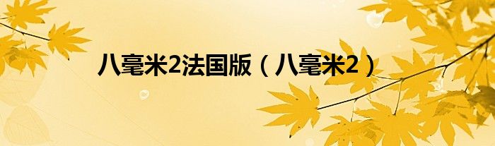 八毫米2法国版(八毫米2)