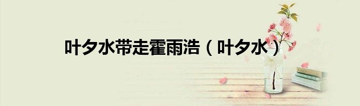 叶夕水带走霍雨浩（叶夕水）