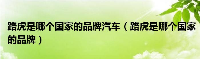 路虎是哪个国家的品牌汽车(路虎是哪个国家的品牌)