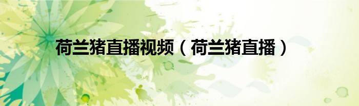荷兰猪直播视频（荷兰猪直播）