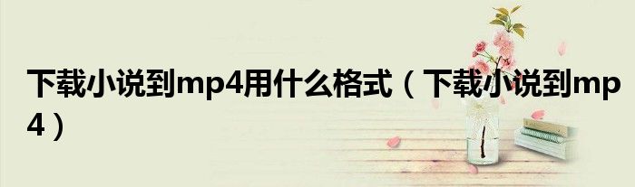 下载小说到mp4用什么格式(下载小说到mp4)