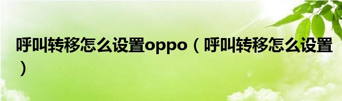 呼叫转移怎么设置oppo(呼叫转移怎么设置)