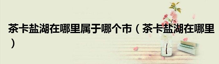 茶卡盐湖在哪里属于哪个市(茶卡盐湖在哪里)