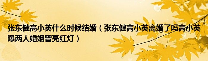 张东健高小英什么时候结婚（张东健高小英离婚了吗高小英曝两人婚姻曾亮红灯）