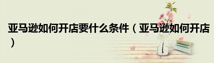 亚马逊如何开店要什么条件(亚马逊如何开店)