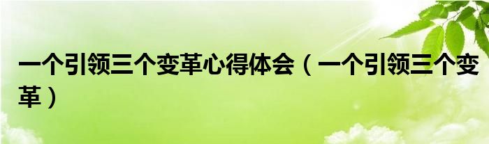 一个引领三个变革心得体会(一个引领三个变革)