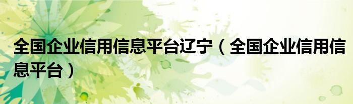 全国企业信用信息平台辽宁(全国企业信用信息平台)