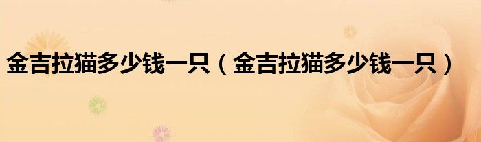 金吉拉猫多少钱一只(金吉拉猫多少钱一只)