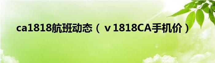 ca1818航班动态(ⅴ1818CA手机价)