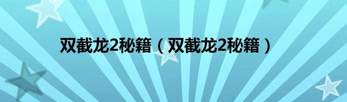 双截龙2秘籍(双截龙2秘籍)