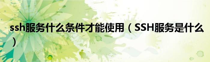 ssh服务什么条件才能使用(SSH服务是什么)