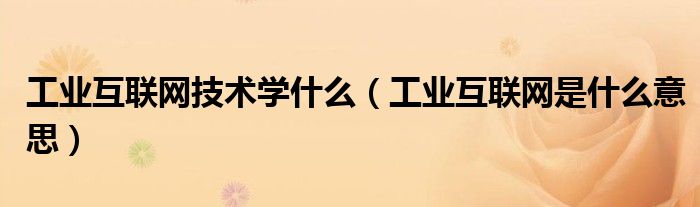 工业互联网技术学什么(工业互联网是什么意思)